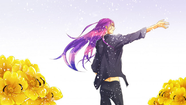 Обои картинки фото аниме, vocaloid