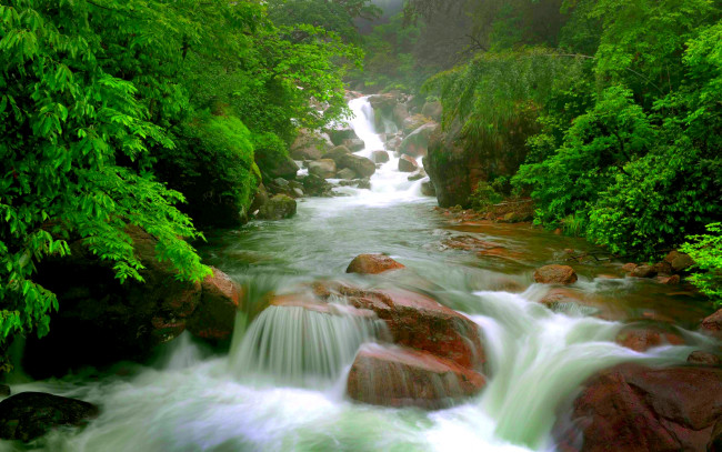 Обои картинки фото природа, реки, озера, пороги, река, лес, стремнина