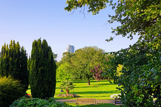 Обои картинки фото англия, кройдон, парк, природа, цветы, кусты