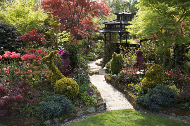 Обои картинки фото природа, парк, японский, сад