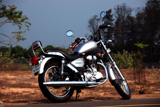 Обои картинки фото мотоциклы, royal, enfield, bird