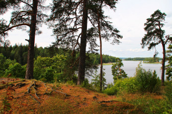 Картинка парк+монрепо+выборг природа реки озера парк деревья река выборг монрепо