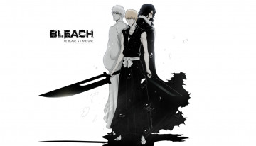 Картинка аниме bleach мечи пустой kurosaki ichigo