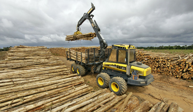 Обои картинки фото ponsse buffalo forwarder, техника, тракторы, универсальный, лесозаготовка, трактор, колесный