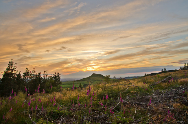 Обои картинки фото природа, луга, равнина, холм, трава, цветы, облака, свет