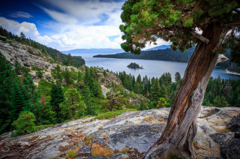 Картинка природа реки озера река горы лес