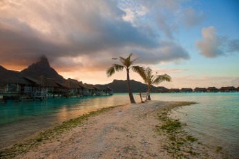 Картинка природа тропики бунгало пляж океан