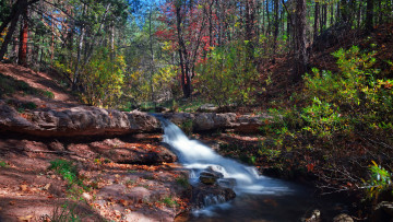 Картинка природа реки озера ручей лес