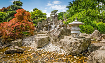 Картинка природа парк растительность ручей ступени