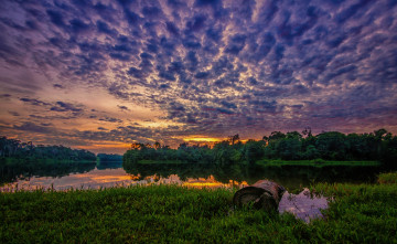 Картинка природа восходы закаты лес заря тучи река