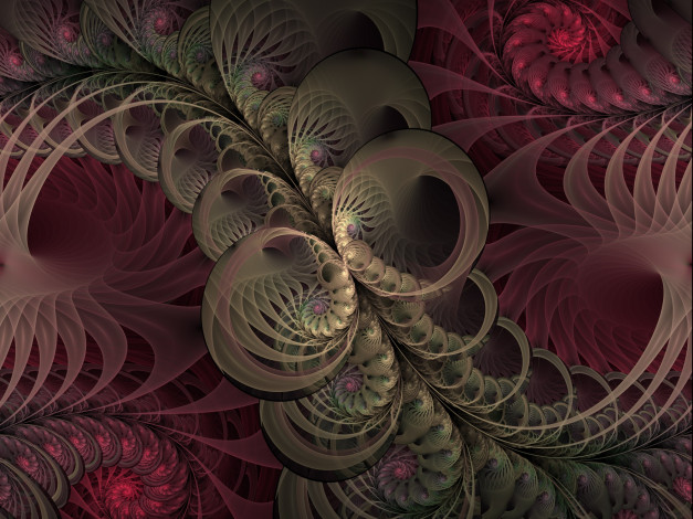 Обои картинки фото 3д графика, фракталы , fractal, узор, фон, цвета