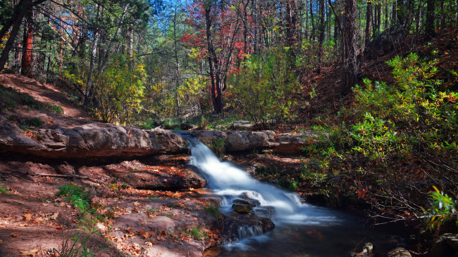 Обои картинки фото природа, реки, озера, ручей, лес