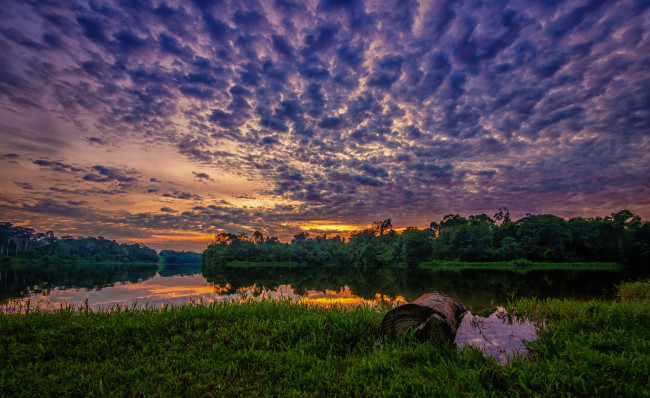 Обои картинки фото природа, восходы, закаты, лес, заря, тучи, река