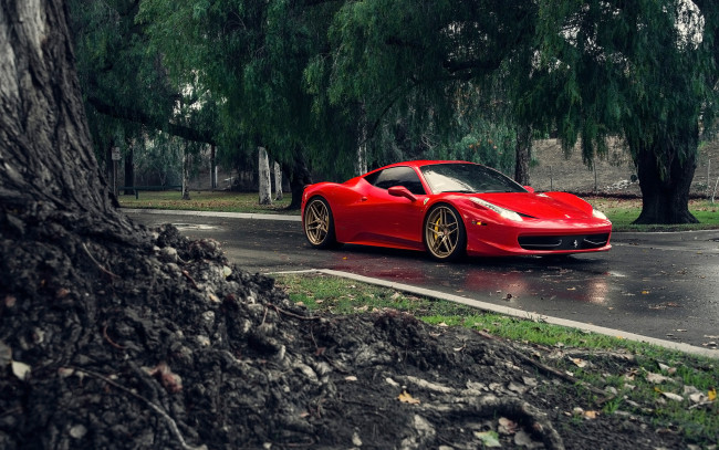 Обои картинки фото автомобили, ferrari