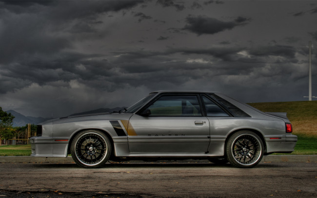 Обои картинки фото автомобили, mustang, saleen