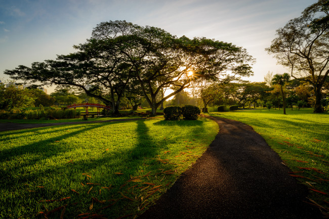 Обои картинки фото природа, парк, сияние, деревья, газон, дорожка