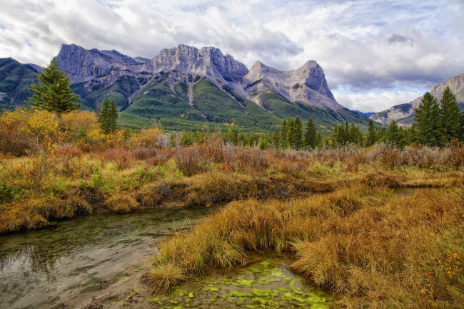 Обои картинки фото природа, реки, озера, горы, трава, ручей