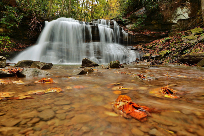 Обои картинки фото природа, водопады, leaves, water, stream, waterfall, осень, листья, вода, поток, водопад, autumn