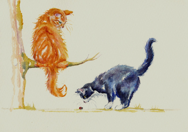 Обои картинки фото рисованное, животные,  коты, акварель, божья, коровка, коты, кошки