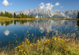 Картинка природа реки озера река лес