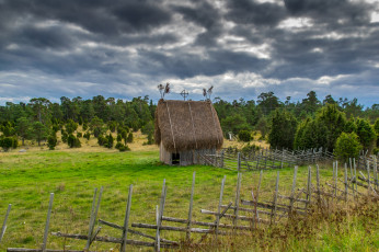 Картинка природа пейзажи лес поле