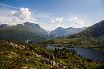 Картинка природа реки озера река лес