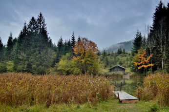 Картинка природа реки озера река лес