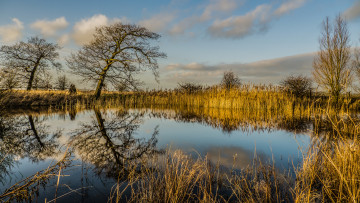 Картинка природа реки озера лес река