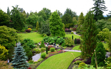 Картинка природа парк