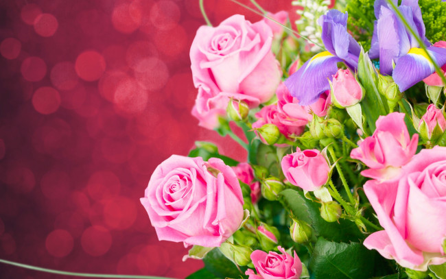 Обои картинки фото цветы, букеты,  композиции, розы, фон, ирисы, бутоны, букет
