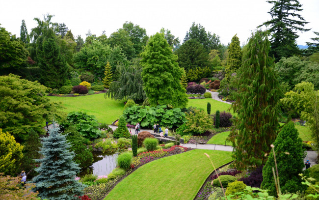 Обои картинки фото природа, парк