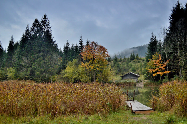 Обои картинки фото природа, реки, озера, река, лес