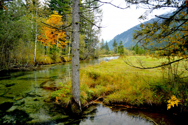 Обои картинки фото природа, реки, озера, река, лес