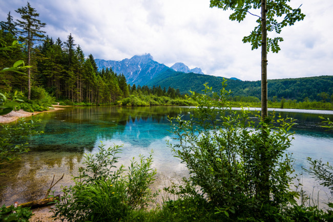 Обои картинки фото природа, реки, озера, река, лес