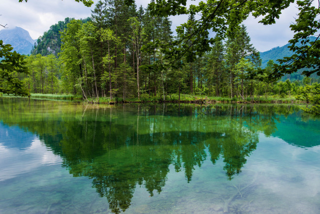 Обои картинки фото природа, реки, озера, река, лес