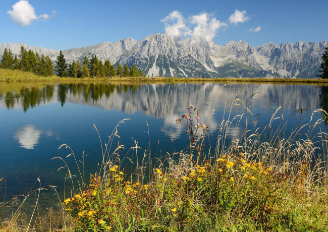 Обои картинки фото природа, реки, озера, река, лес