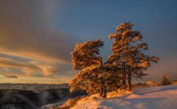 Картинка природа зима снег