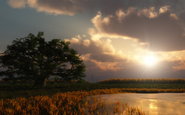 Картинка 3д+графика природа+ nature озеро дерево облака