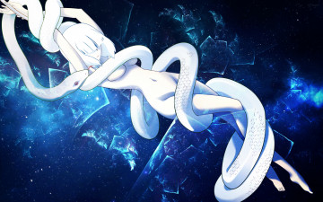 Картинка аниме katanagatari девушка