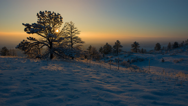 Обои картинки фото природа, зима, снег