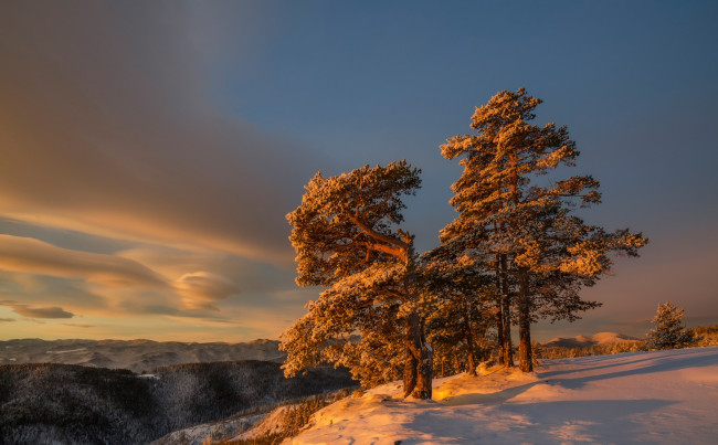 Обои картинки фото природа, зима, снег