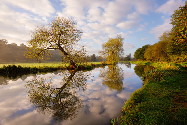 Обои картинки фото природа, реки, озера, лес, река