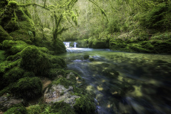 Картинка природа реки озера простор