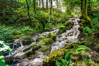 Картинка природа реки озера простор