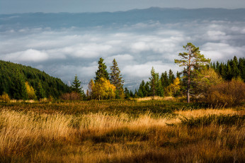 Картинка природа пейзажи простор