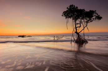 Картинка природа побережье простор