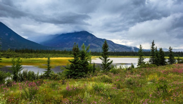 Картинка природа реки озера простор