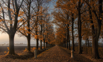 Картинка природа дороги простор