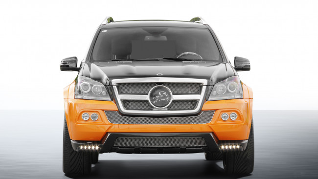 Обои картинки фото carlsson cgl-45 royale last edition 2012, автомобили, mercedes-benz, last, 2012, edition, royale, cgl-45, carlsson