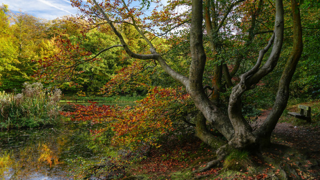 Обои картинки фото природа, реки, озера, простор